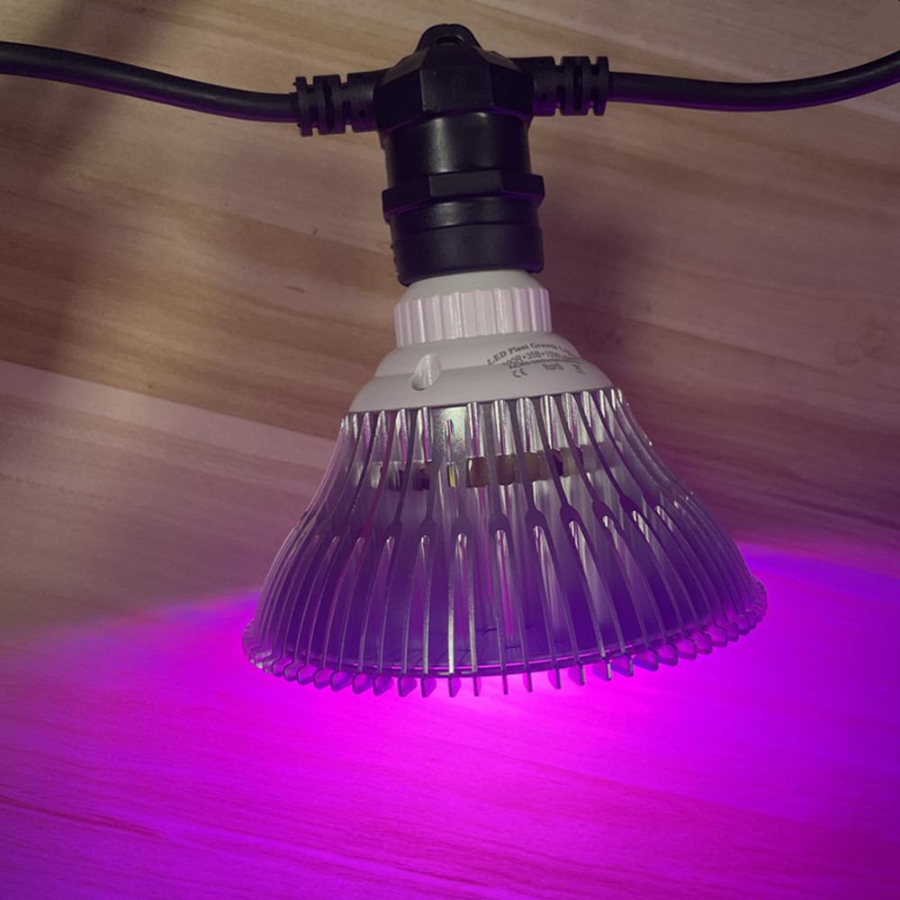 10M Cable LED String Commercia - огляд і ціна Outdoor Power Adapter